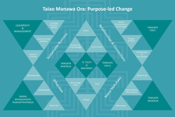 Taiao Manawa Ora Purpose Led Change Turquoise Small Scaled