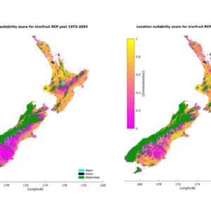 Kiwifruit Crop Suitability Under Climate Change