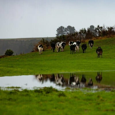 A Canterbury farm after flood